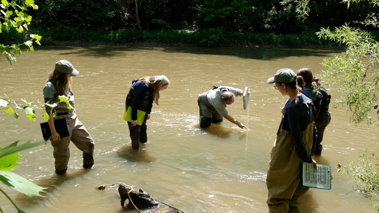 Community Stream Habitat Assessment