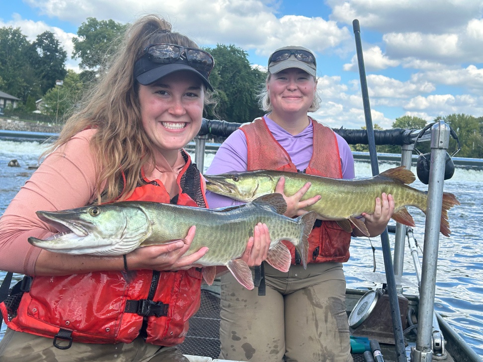 Level 3 Bioassessment: Fish