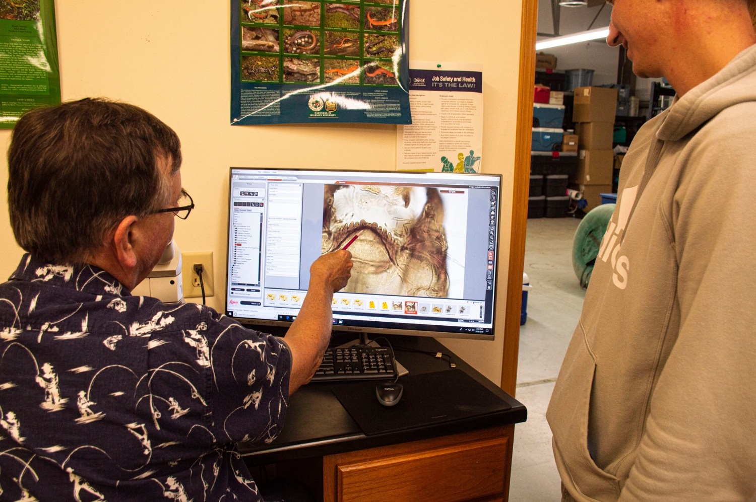 Sample Identification