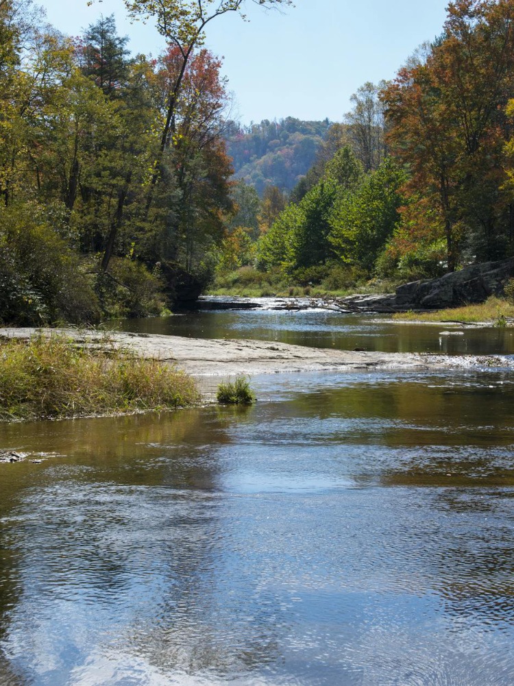 Stream View