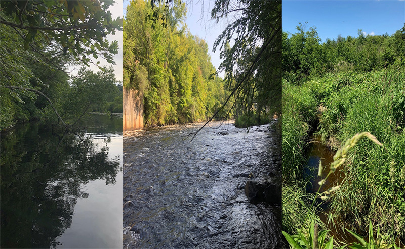 collage of stream images