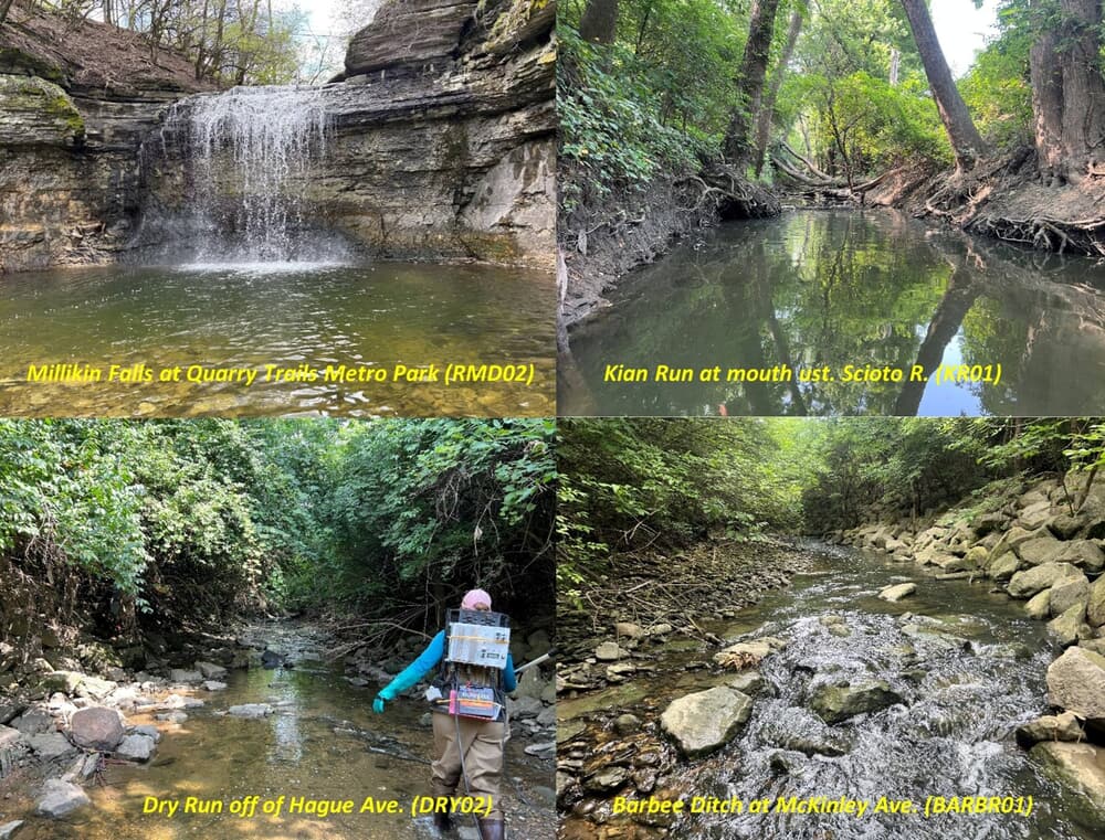 cover photo for Columbus 2024 Final Report