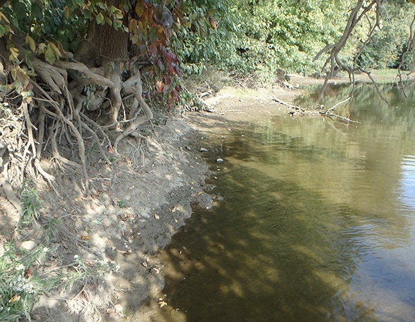 exposed clay bank along the Scioto River downstream from Columbus