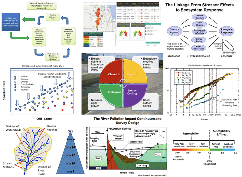integrated Prioritization System (IPS) for Northeastern Illinois