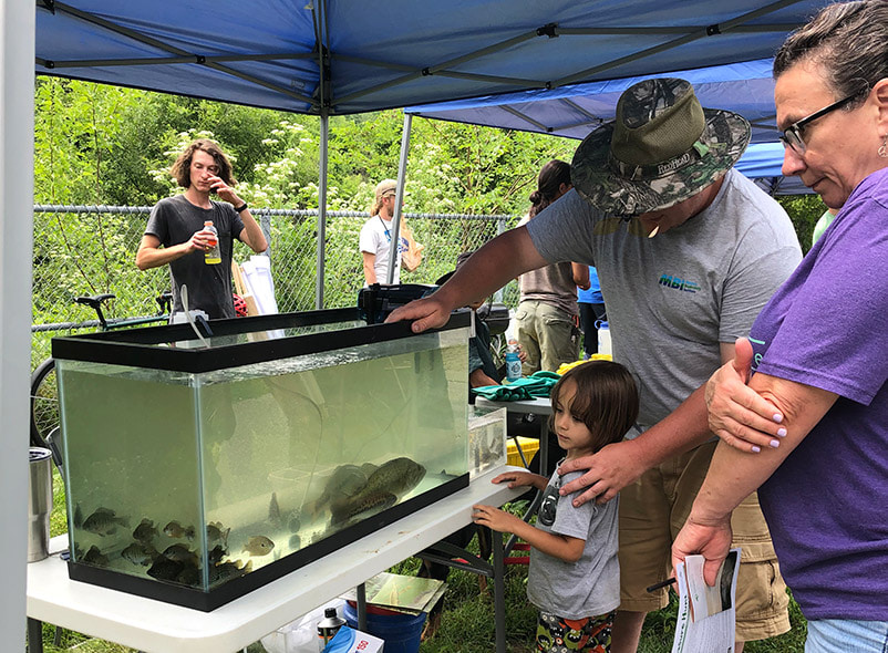a small aquarium under a tent at an event