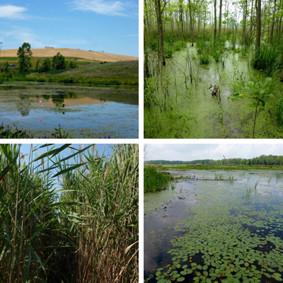 collage of great lakes basin 
