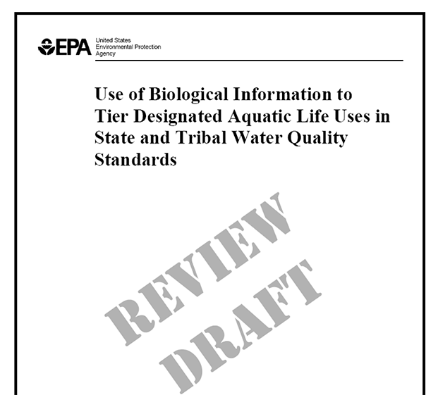Use of Biological Information to Better Define Designated Aquatic Life Uses in State and Tribal Water Quality Standards report