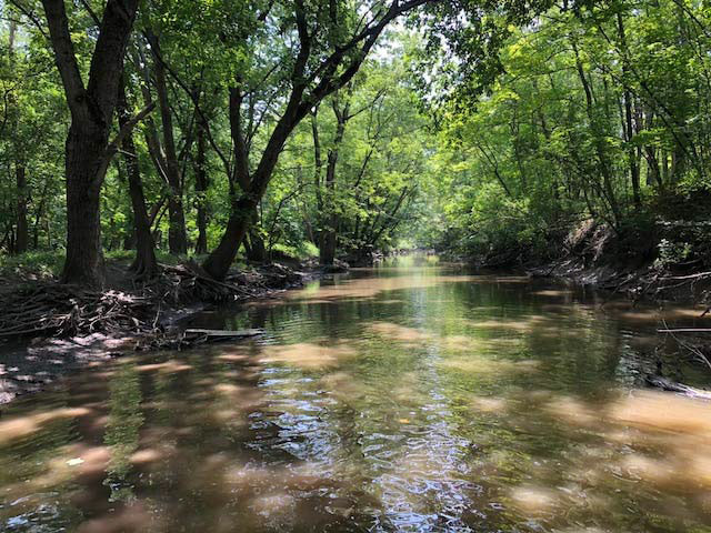 North branch of the Chicago river