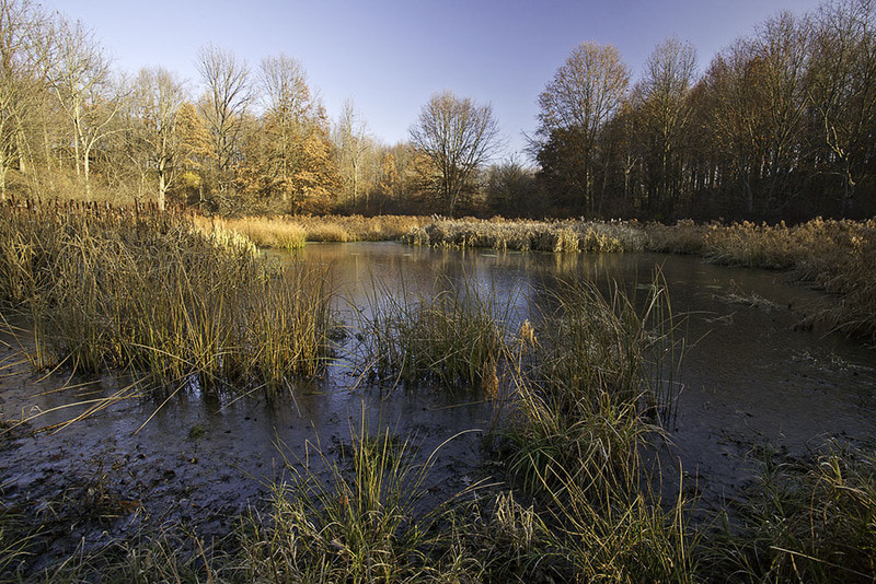 ohio wetlands