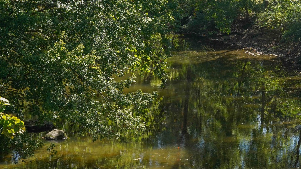 Big/Little Darby creek