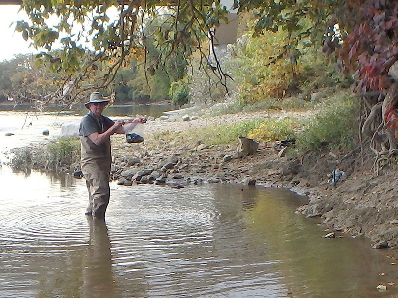 finding mussels in stream