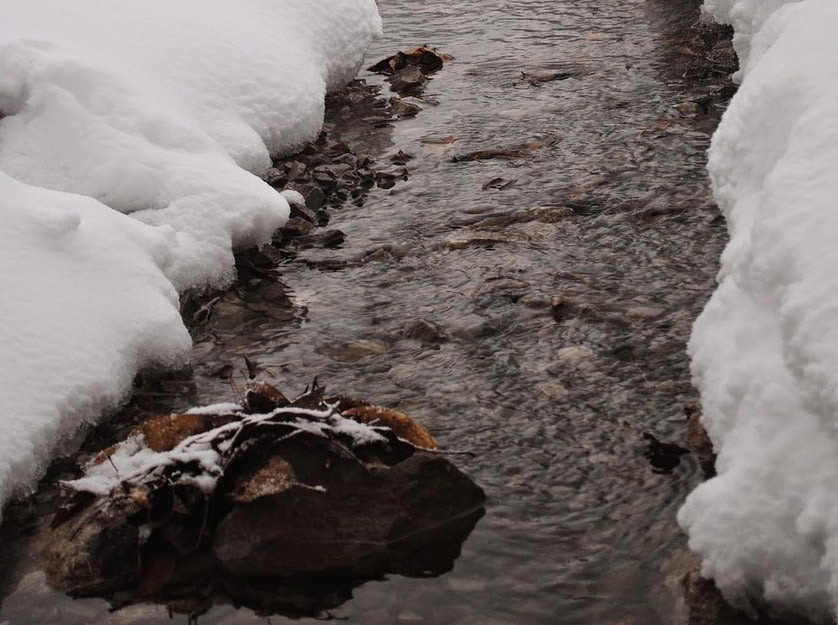stream in winter