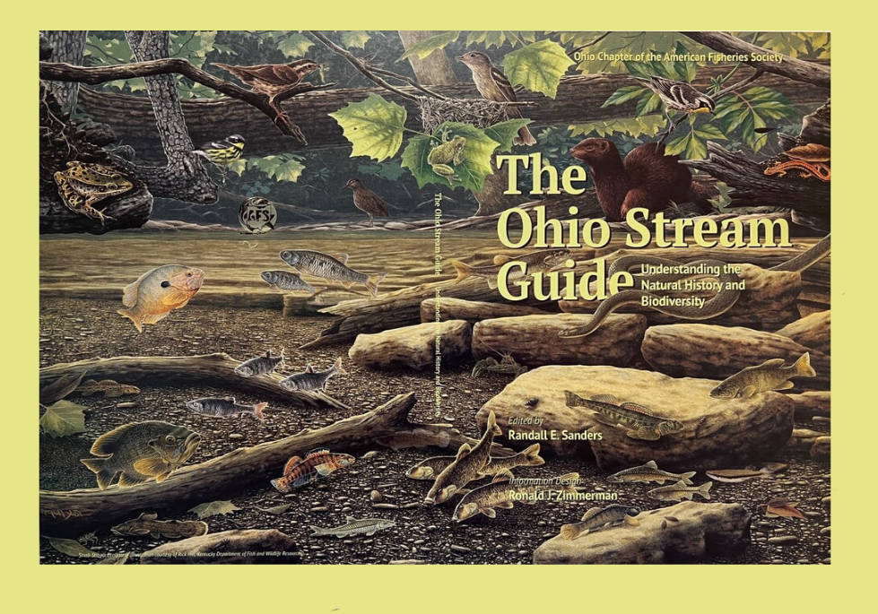 Cover of The Ohio Stream Guide