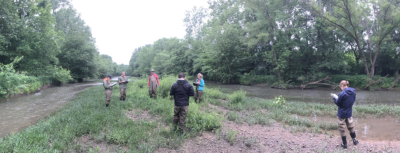 citizen science training