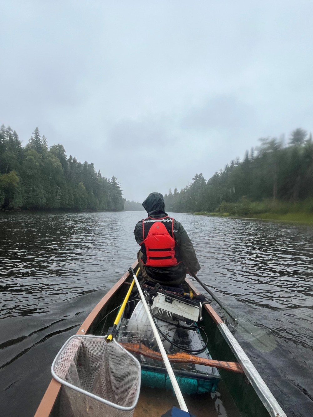 paddling a canoe in a stream