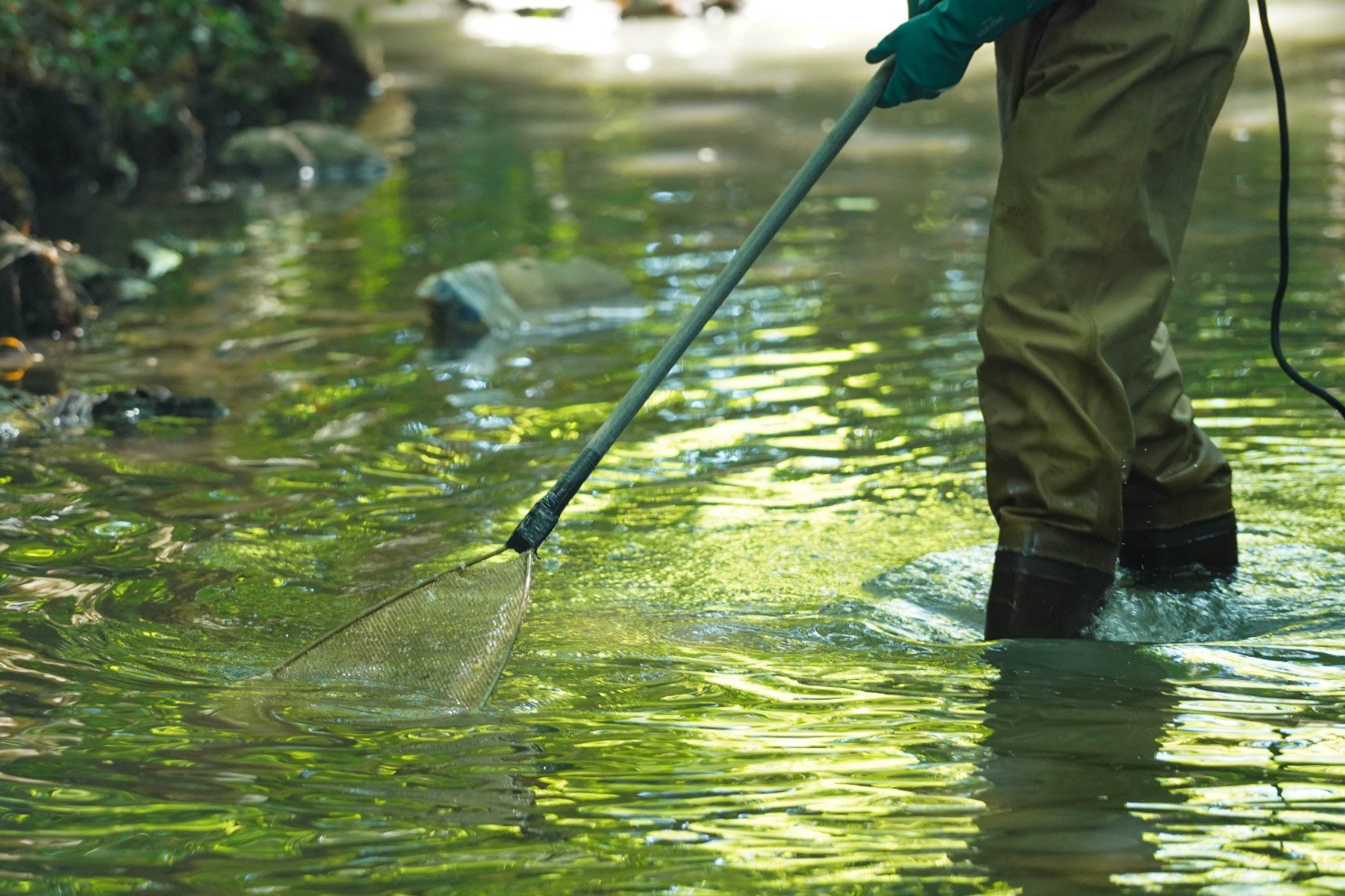 Watershed Monitoring